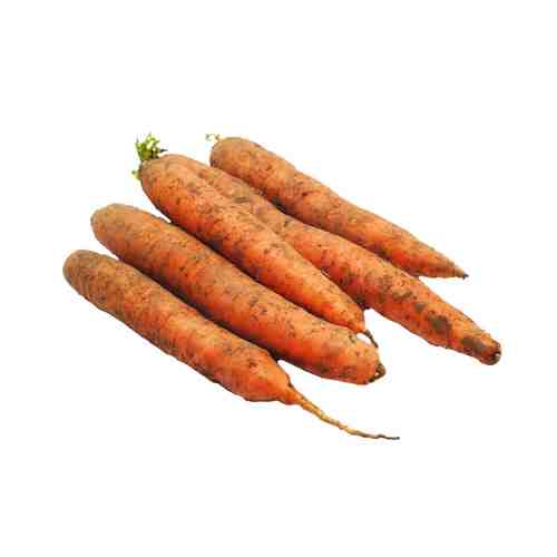 Морковь кг арт. 6364
