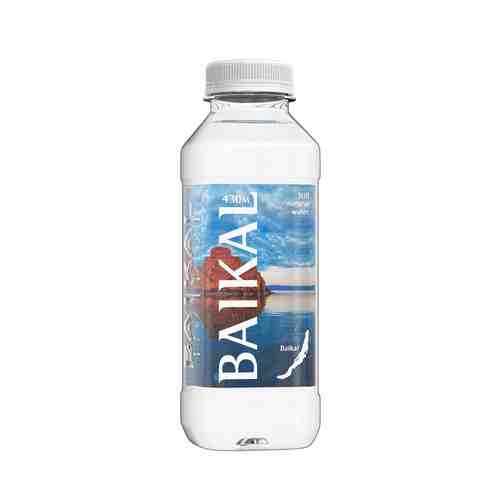 Вода питьевая BAIKAL430 природ н/газ 0,45л пэт арт. 855819